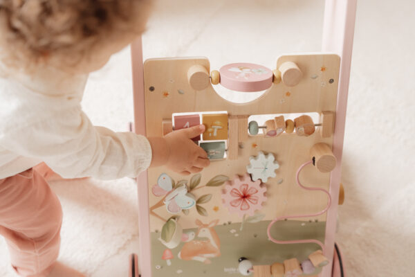 Primi passi multi-attivit  - Fairy Garden FSC